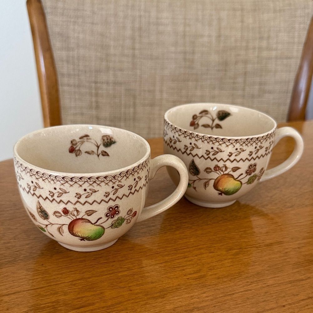 Set of 2 Johnson Brothers Fruit Sampler Old Granite teacup